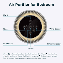 image-Air Purifiers for Home with Adjustable Night Light