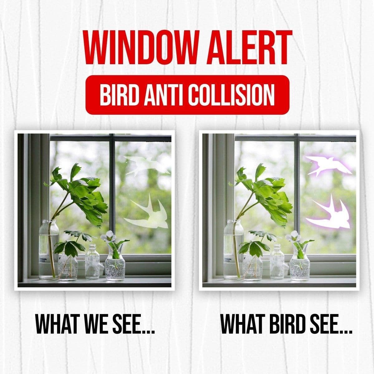 image-FeatherGuard Bird-Safe Window Vinyl Decals - Enhancing Elegant Aesthetics