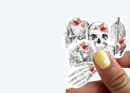 image-Anatomy Skeleton Decals - Medical School Decor
