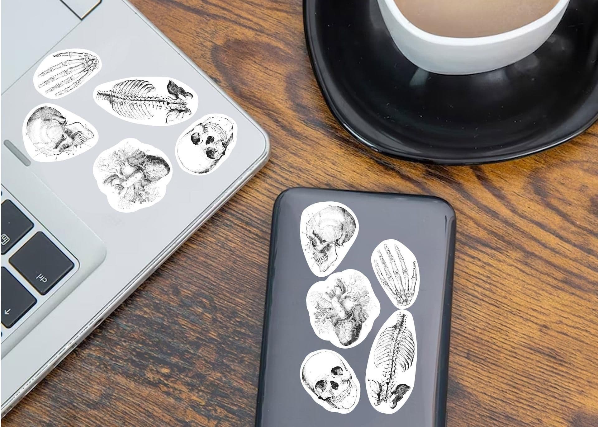 image-Anatomy Skeleton Decals - Medical School Decor