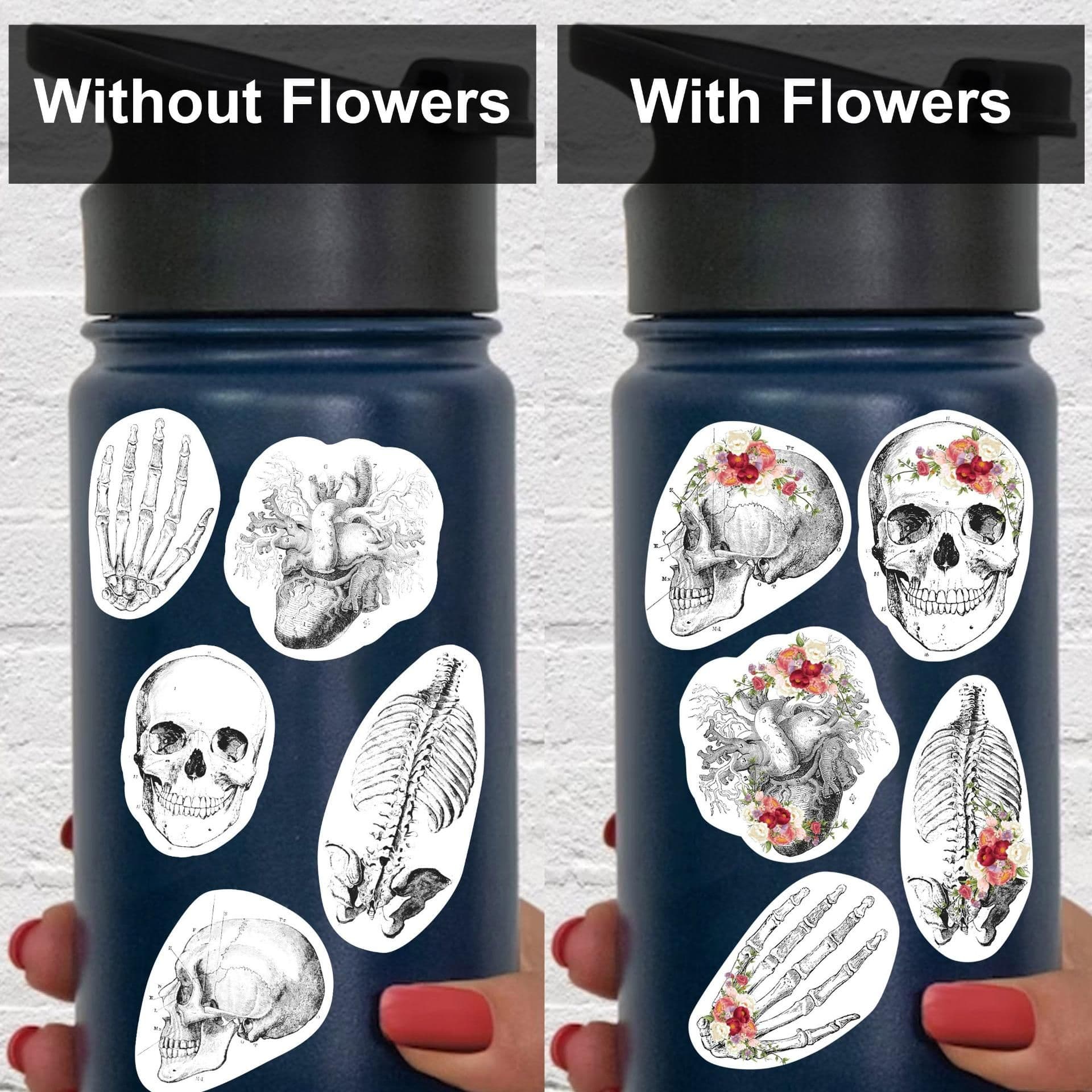image-Anatomy Skeleton Decals - Medical School Decor
