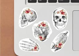 image-Anatomy Skeleton Decals - Medical School Decor