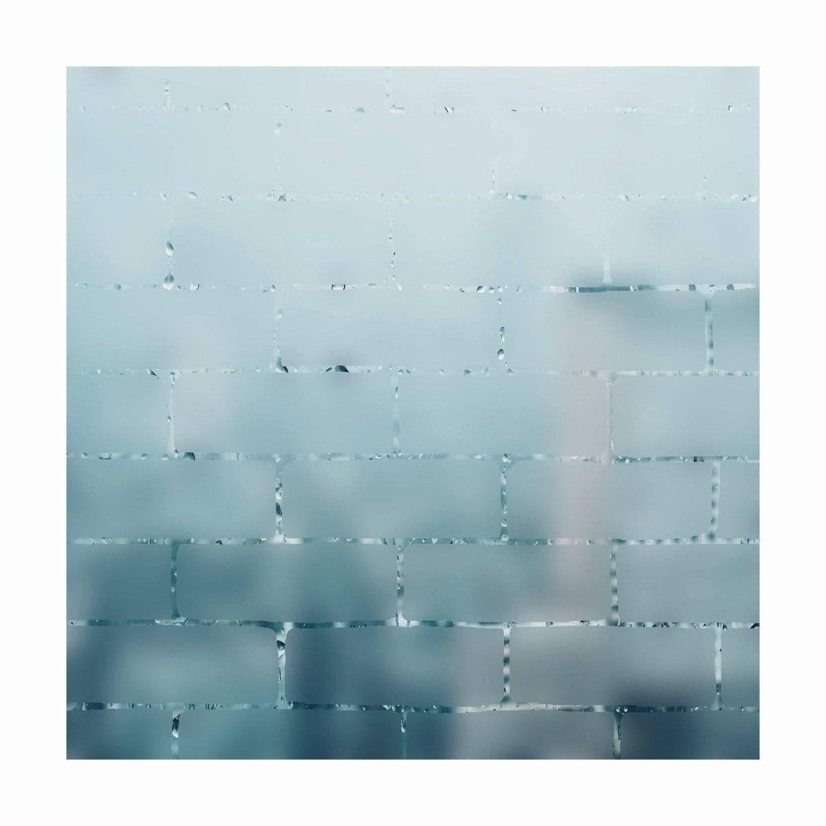 image-Frost Window Film Decal: Elevated Privacy & Optimized Natural Light Illumination