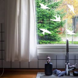 image-Window Decal Set - BirdSafe Protection & Aesthetic Enhancement