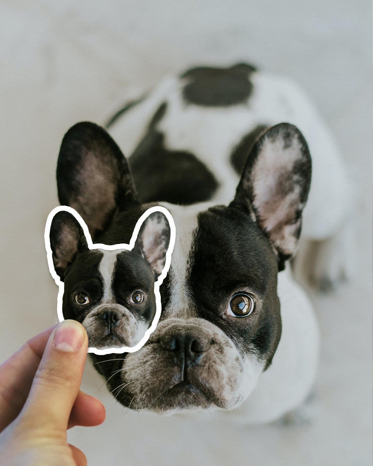 image-Customized Vinyl Sticker Collection: Enhance Your Business with Personalized Elegance