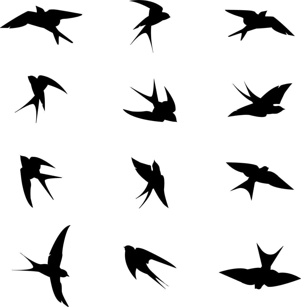 image-Bird Safety Window Decals by FeatherGuard - Collision Awareness Adhesive Stickers
