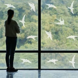 image-Bird Safety Window Decals by FeatherGuard - Collision Awareness Adhesive Stickers