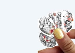 image-Medical Anatomy Decals: Unique Science-themed Stickers Ideal for Medicine Enthusiasts