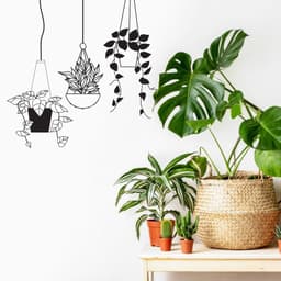 image-Botanical Oasis Wall Sticker - Tropical Hanging Plant Basket Decal
