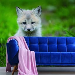 image-Whimsical Fox Wall Art: Adorable Nursery Decal for a Magical Space