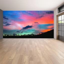 image-Nature's Horizon - Sunset Transformative Vinyl Wall Art Decals for Home Decor
