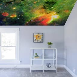 image-Majestic Celestial Vinyl Ceiling Decal: Wallpaper Sticker