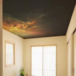image-Majestic Celestial Vinyl Ceiling Decal: Wallpaper Sticker