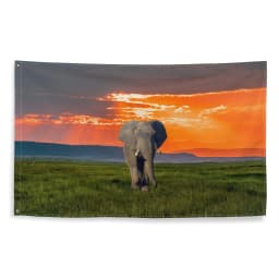 image-Elephant Art Painting Flag Tapestry