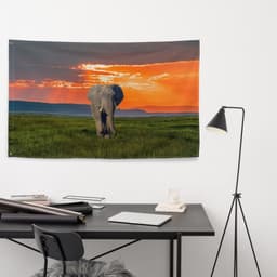 image-Elephant Art Painting Flag Tapestry