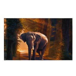 image-Elephant Flag Tapestry wall hanging