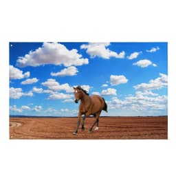 image-Walking Horse Painitng Flag Tapestry