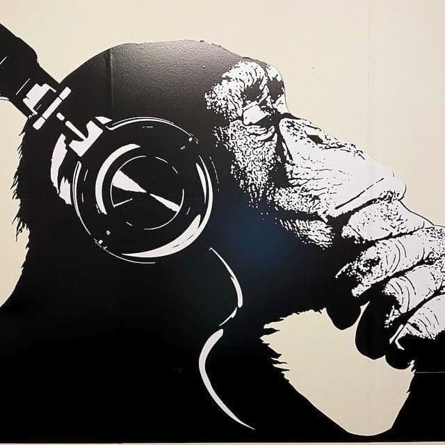 image-Vinyl Wall Art Decal - Contemplative Chimp Design Wall Sticker