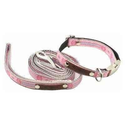 image-Pampered Pup Cotton Comfort Collar