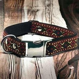 image-Elysian Paws Engraved Charm Medium Dog Collar