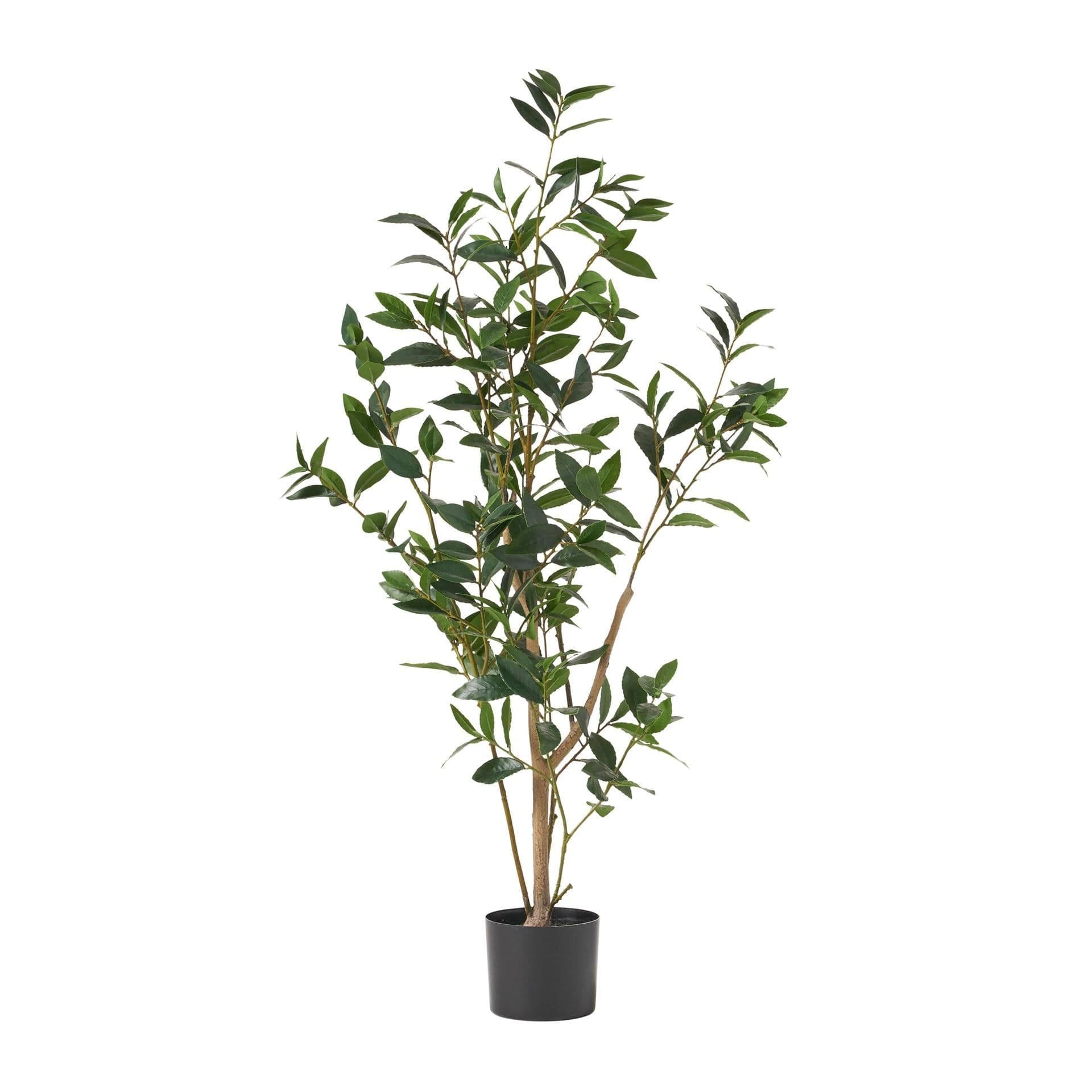 image-120CM ARTIFICIAL LAUREL TREE