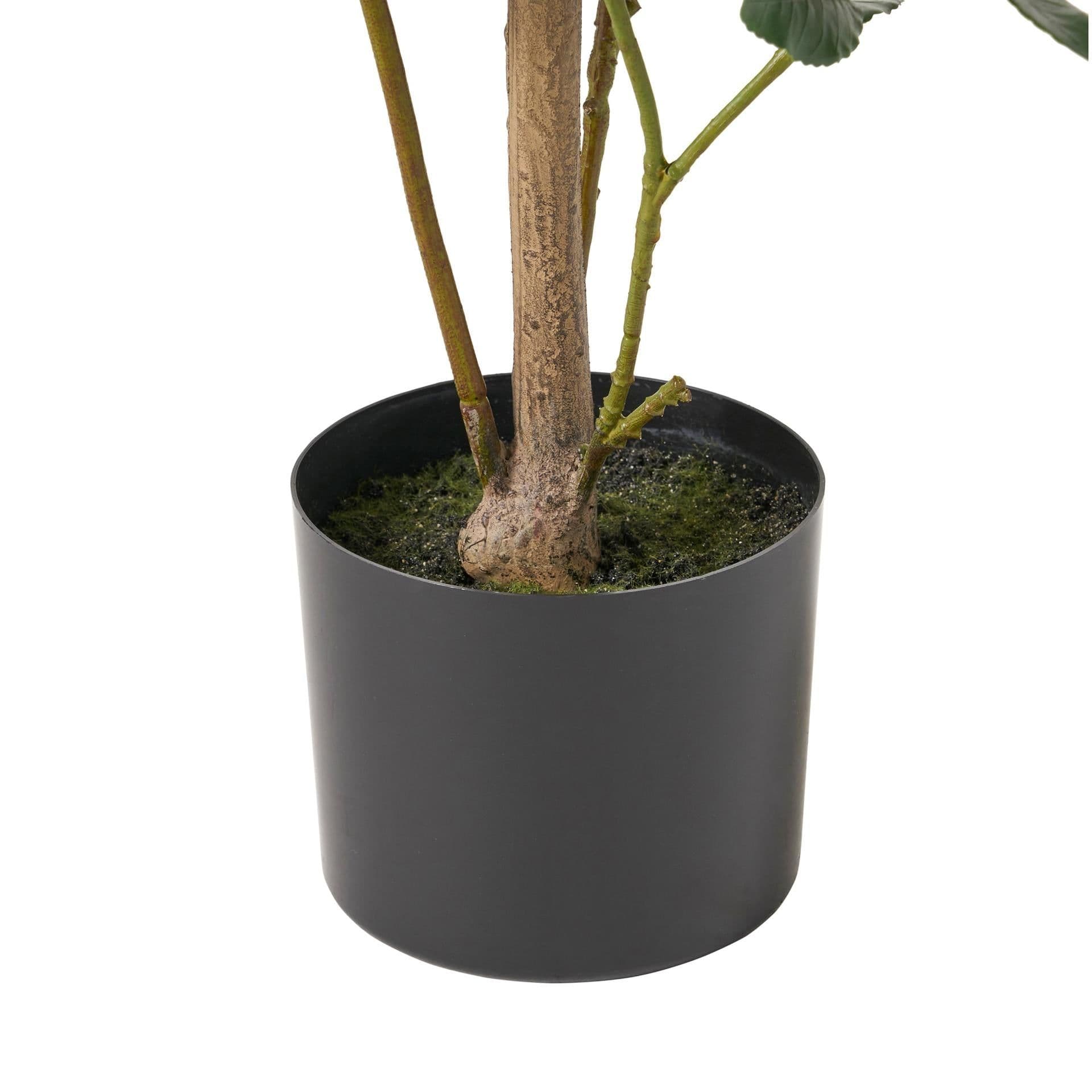 image-120CM ARTIFICIAL LAUREL TREE
