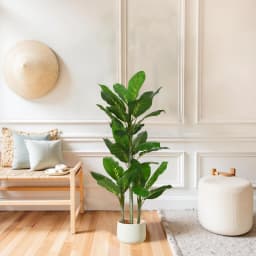image-42' Artificial Dieffenbachia Plant With Pot