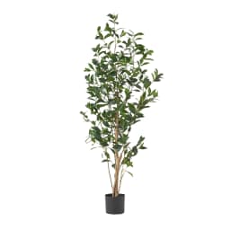 image-150CM ARTIFICIAL LAUREL TREE