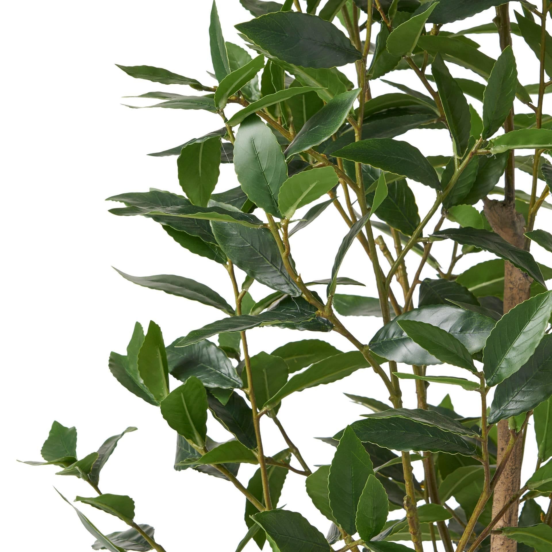 image-150CM ARTIFICIAL LAUREL TREE