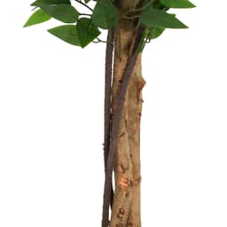 image-63' Artificial Ficus Tree With Pot