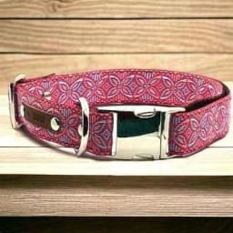image-Chic Collar for Stylish Pooches