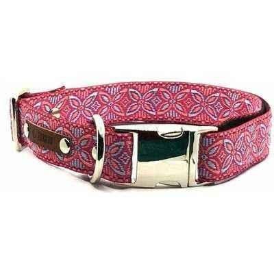 image-Chic Collar for Stylish Pooches