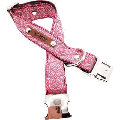 image-Chic Collar for Stylish Pooches