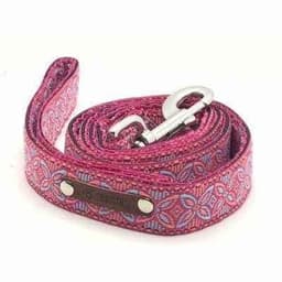 image-Chic Collar for Stylish Pooches