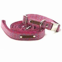 image-Chic Collar for Stylish Pooches