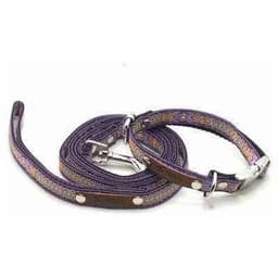 image-Pampered Pooch Cotton Dog Collars
