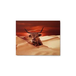 image-Highland Cow In Desert Metal Print