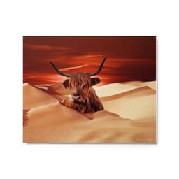 image-Highland Cow In Desert Metal Print
