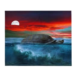 image-Tortoise Throw Blanket