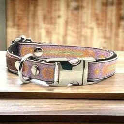 image-Petite Pooch Chic Cotton Collar