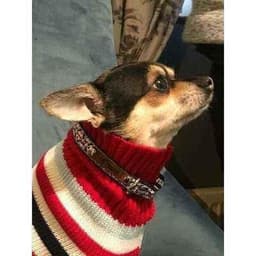 image-Designer Handmade Cotton Dog Collar No.12s