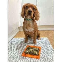 image-The Bedazzle Dog Lead No. 9s