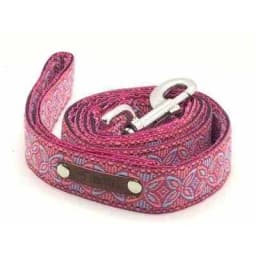 image-Regal Canine Parade Lead