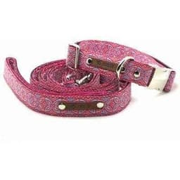 image-Regal Canine Parade Lead