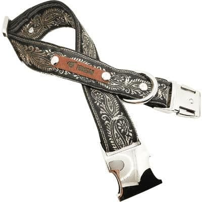image-Finnigan's Luxe Pup Elegance Lead