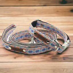 image-Royal Canine Elegance Collar Set