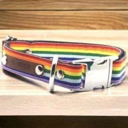 image-Luxury Harmony Cotton Dog Collar