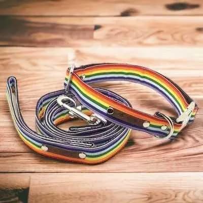 image-Finnigan's Bespoke Dog Collar & Lead Set