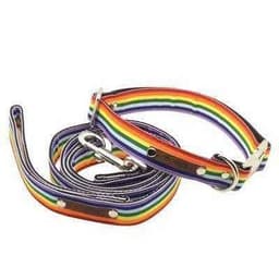 image-Finnigan's Bespoke Dog Collar & Lead Set