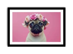 image-Pug Dog Framed Print
